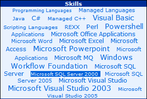 Sample Topic Cloud showing a selection of Skills known by People using font size as a differentiator, the larger skill names are known by more people